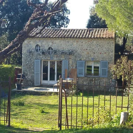 L'esprit Montpel 